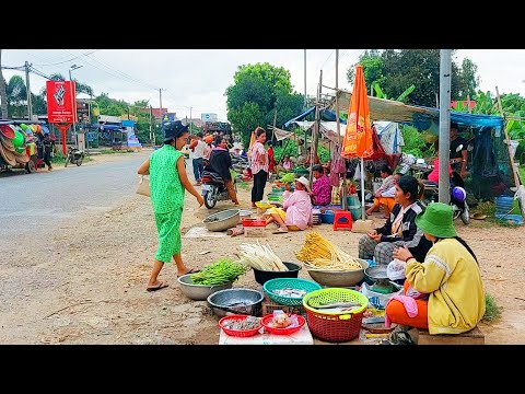 Best Street Food Tour in Cambodian Countryside Market and City - Crab, Fish, Fruit, Noodles, & More