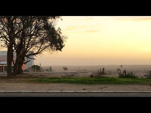 Desert Paradise [NL Trailer]