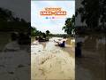 Jika Emak Emak Operator Traktor Menggarap Sawah Short Trending Emakemak Traktorsawah Gabut