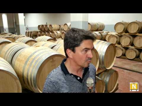 Azienda Vitivinicola Cantele - Guagnano (Le)