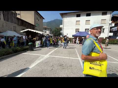 Coda alla sagra della polenta di Storo