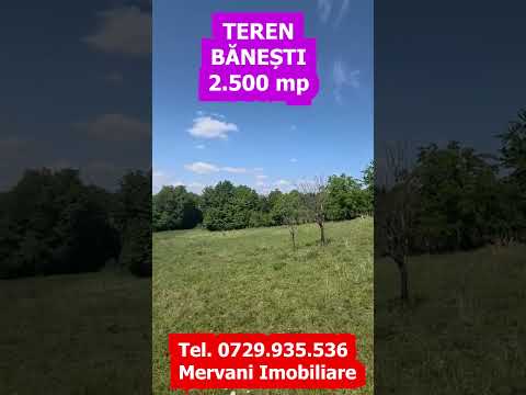 Teren intravilan de vanzare 2500 mp in Banesti — Video
