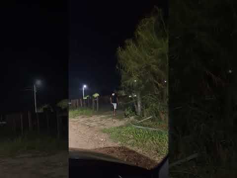 quería casar un Tatu en plena calle de #Mercedes #corrientesargentina