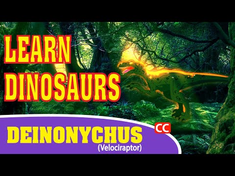 Learn Dinosaurs Deinonychus
