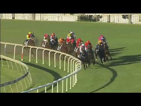 Dothraki BTC Cup 2016