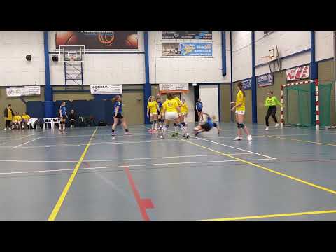 Tweede helft DSO B1  - Westfriezen B1 24 maart 2019