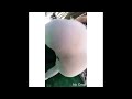 Thicckest Instagram Models Instagram Curvyspot