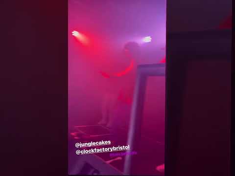 Euohonique - Jungle Cakes 360