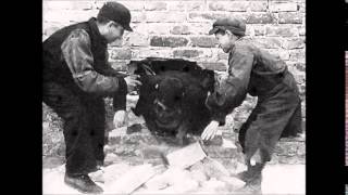 Mackberk Dayı - Dağlara Çığ (2014)