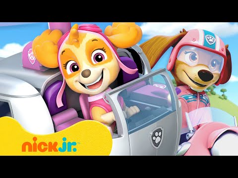 Paw Patrol | ¡Rescates de Chicas! con Skye, Everest y Liberty | 60 Minutos | Nick Jr. en Español