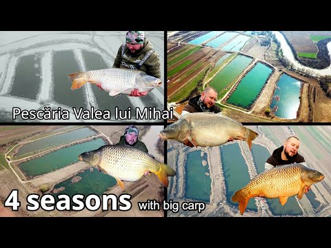 4 Seasons with big carp on Valea lui Mihai Lake !!! by Rappa FK