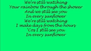 Bell X1 - In Every Sunflower