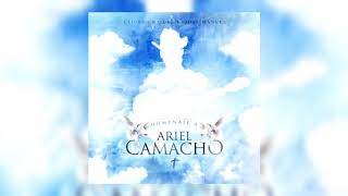 Cada Quien Lyrics