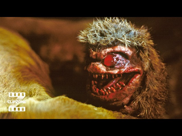 Dad vs. Critters