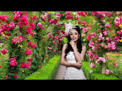 Garden Photo Frame Editor 2024 Video