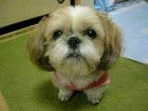 もう寝ようよ～（２）