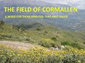 The Field of Cormallen, and a feeling of failure
