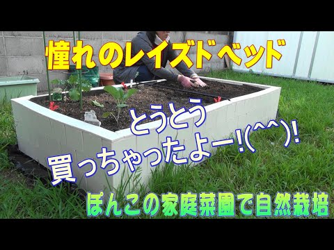 レイズドベッド: 適切なフォイル トピックス