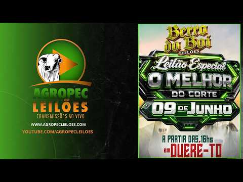 Agropecleiloes LEILÃO ESPECIAL O MELHOR DO CORTE | BERRO DO BOI LEILÕES - DUERÉ -TO - 09/06/2026.