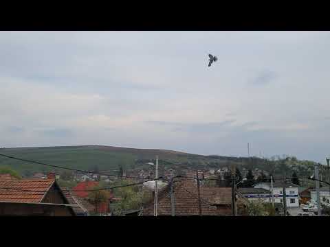 - A Time - Lapse - Luduș 13.04.2020