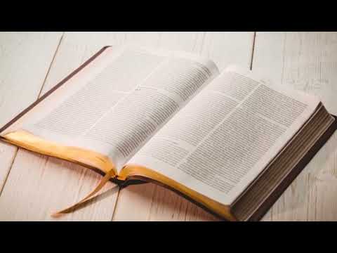 Gustave Praise  - La Parole