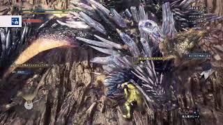 【MHWI】とりあえずバウンティ