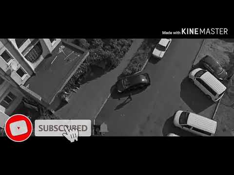 ЯРМАК волчата (смотрите видео до конца)