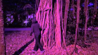 The Long Way Home - The Birthday Massacre Video Contest