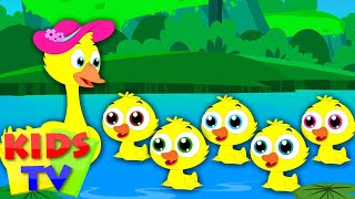 Five Little Ducks  Nursery Rhymes  Kids tv Songs  