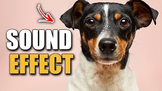 Download lagu SOUND EFFECT | FREE SOUND EFFECTS | SOUND EFFECT POPULER | SOUND EFFECT YOUTUBER - fpr x;wq #Shorts mp3