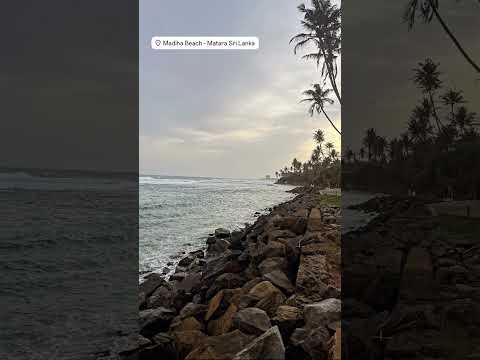 Madiha Beach 🇱🇰 🛩🛥⛱🌴🐋🐘🐆🏄