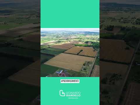 Video de YouTube - Chacra en Venta  en Colonia Estrella, Colonia