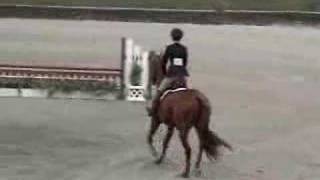 preview picture of video 'Nikki - handy hunter round, HITS Saugerties'