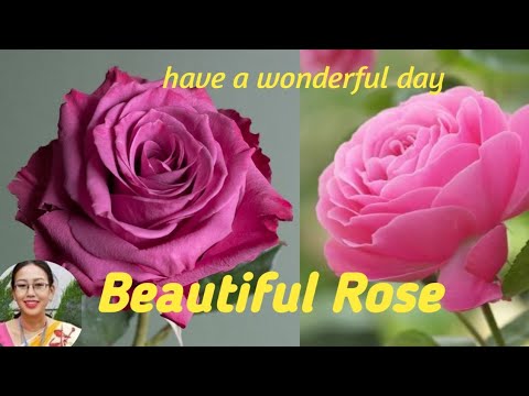 ujaningba saktam nungshiba.