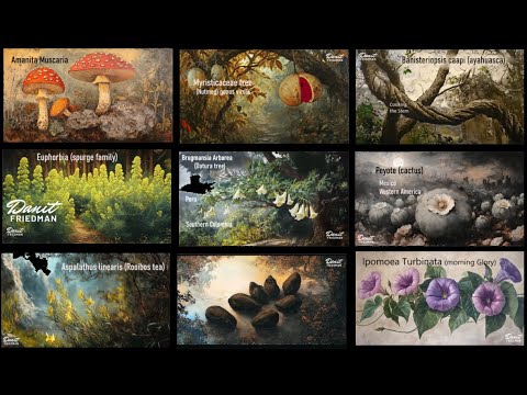 Terence McKenna - List of All World's Shamanic Plants [Name+Place+Image]