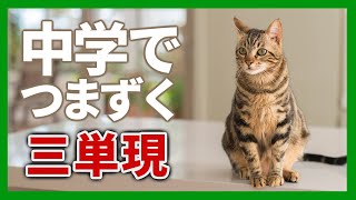 【ぽんぐり25】中学でつまずく 〜三単現〜