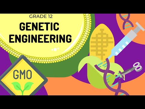 Genetic Engineering | EASY TO UNDERSTAND