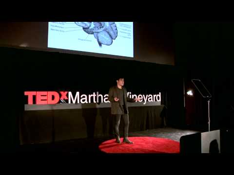 Auteurs in the ether | Alan Palomo | TEDxMarthasVineyard