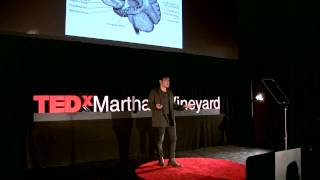 Auteurs in the ether | Alan Palomo | TEDxMarthasVineyard