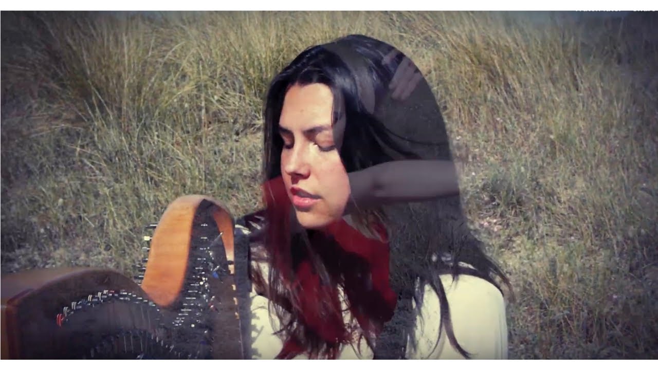 Promotional video thumbnail 4 for Allegra Cramer