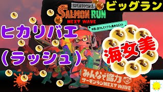 【ビッグラン】海女美術大学（通常潮）のヒカリバエ（ラッシュ）【おすらりん/スプラトゥーン3/サーモンランNEXTWAVE】