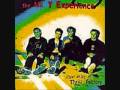 The Mr T Experience - "Velveeta"