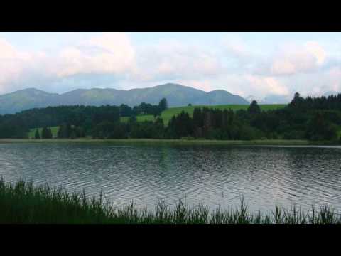 Gitarrenensemble Ponticello - G. Ph. Telemann - Konzert für 4 Gitarren in D