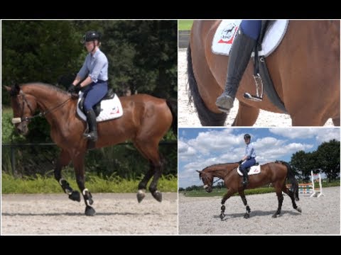 1ST TIME RIDING MY HUGE HORSE BITLESS & Ophena MAGNETIC STIRRUPS