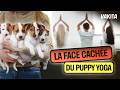 Puppy Yoga Something You Ll Never See On Instagram