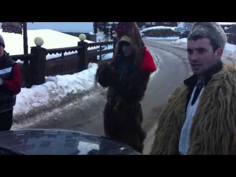 Opriti in trafic de Ursul la Moeciu de Jos