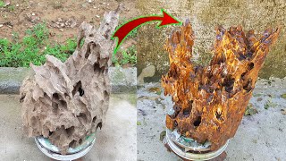 Amazing Driftwood ❤ How to clean and decorate driftwood ✨ Cement Plus
