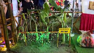 Đốt lửa trại - trại hè An Sơn 2023