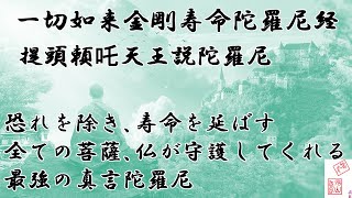一切如来金剛寿命陀羅尼経　提頭頼吒天王説陀羅尼　すべての仏と菩薩が加護してくれる最強の真言陀羅尼６篇の内の一つ　多くの人々に施すと大きな功徳が得られる真言唱えてコロナ撃退　JAPAN　PRAY