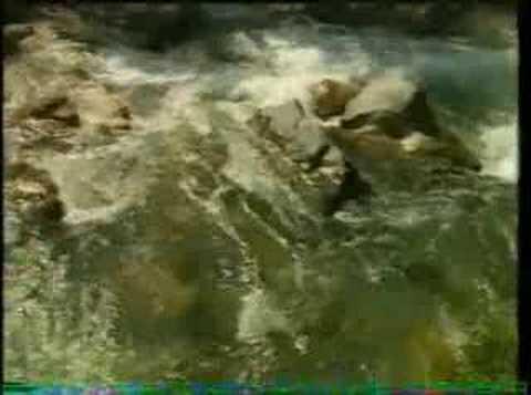 Vaska Ilieva "Na 4.Maj'903 "